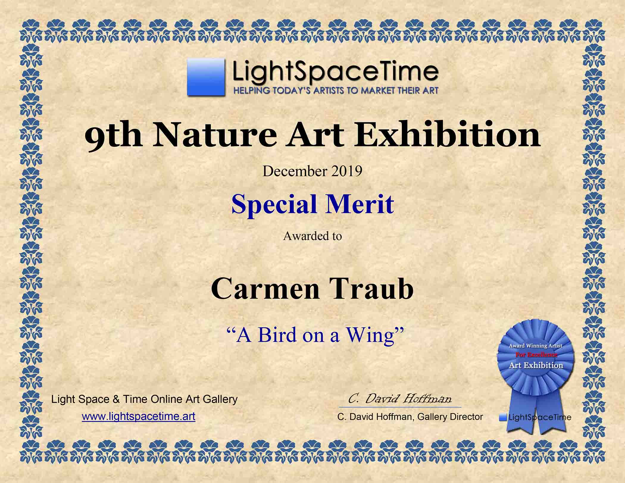 BIRD ON A WING award certificate for Carmen Traub Special Merit award for a photo entitled 'Bird on a Wing' awarded to Carmen Traub