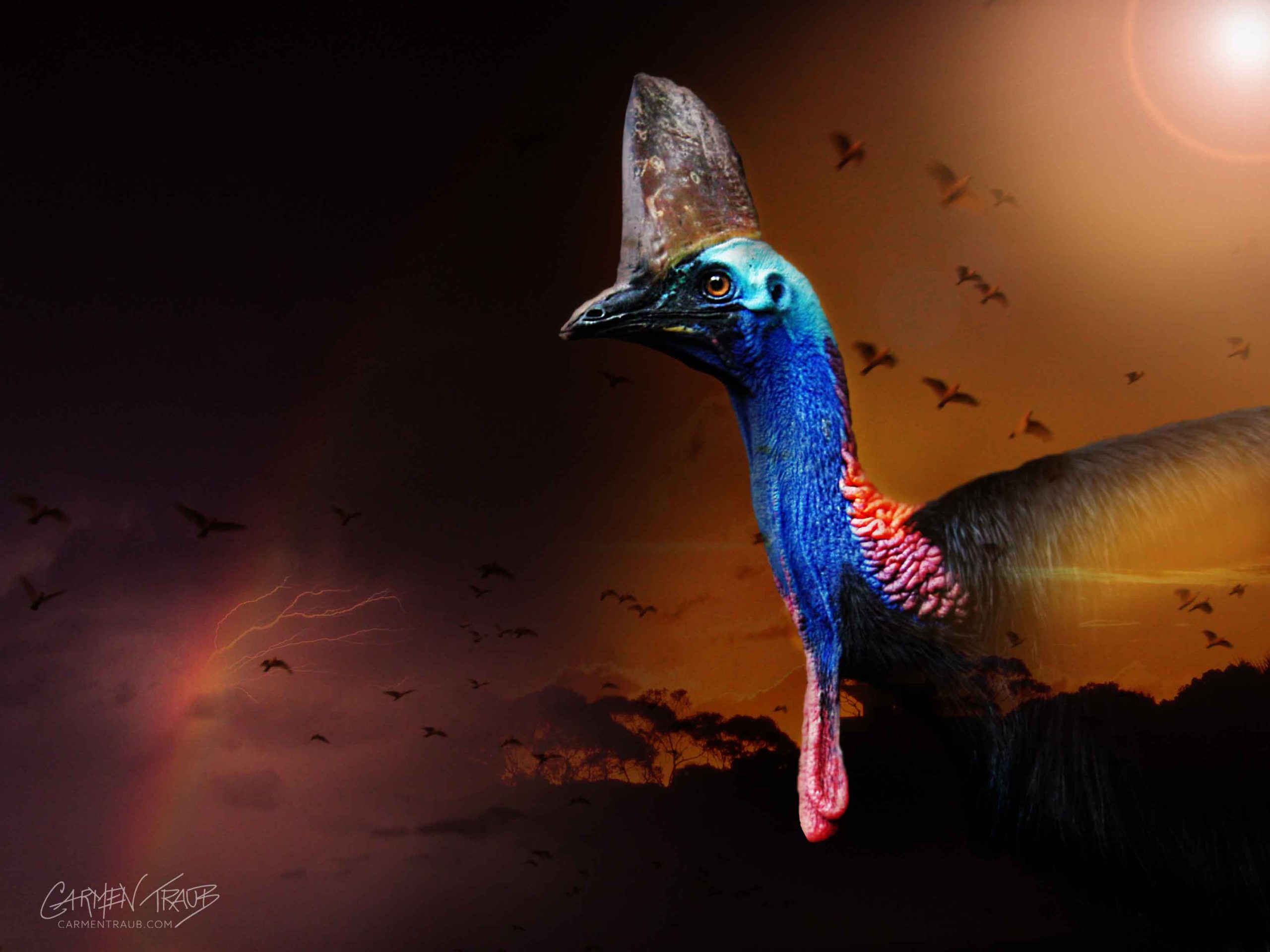An artistic photo collage of a cassowary dissappearing, by Carmen Traub