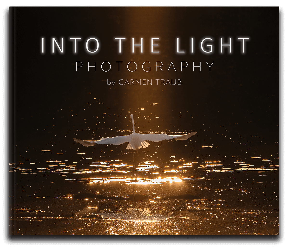 Into The Light Photography book cover by Carmen Traub Into The Light Photography book cover by Carmen Traub