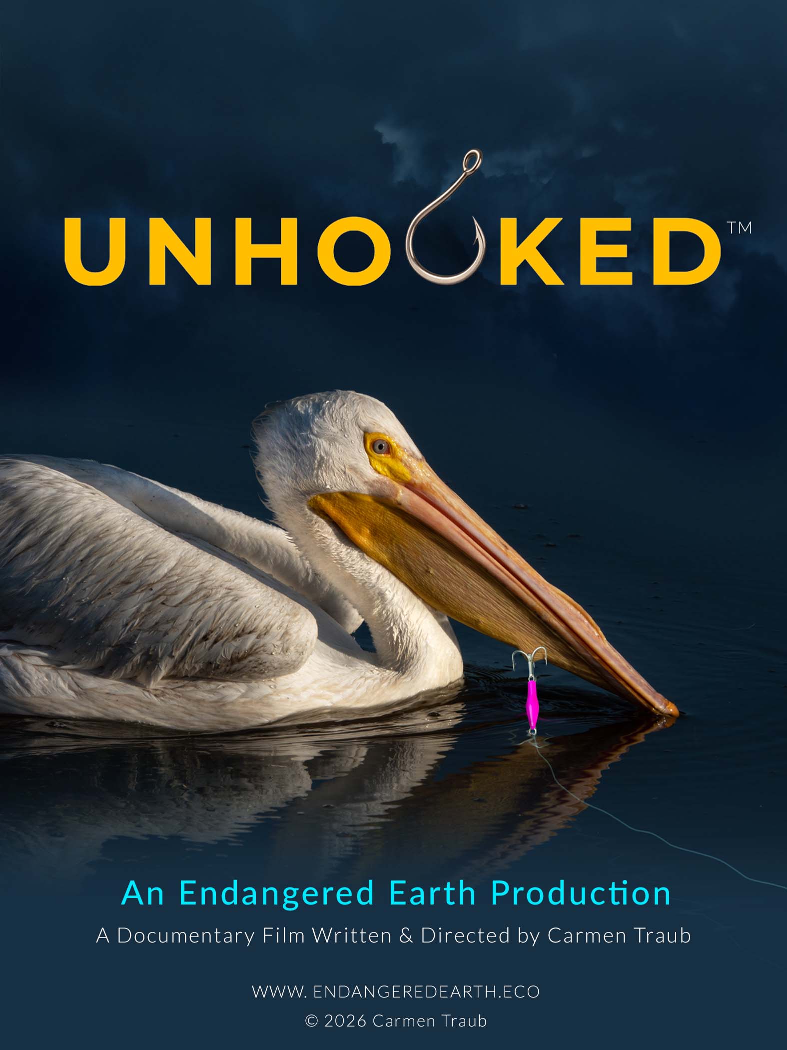 Photo of an American White Pelican with a fishing hook hanging off of his lower pouch. This is a poster for UNHOOKED, a Documentary Movie written & directed by Carmen Traub, An Endangered Earth Production
